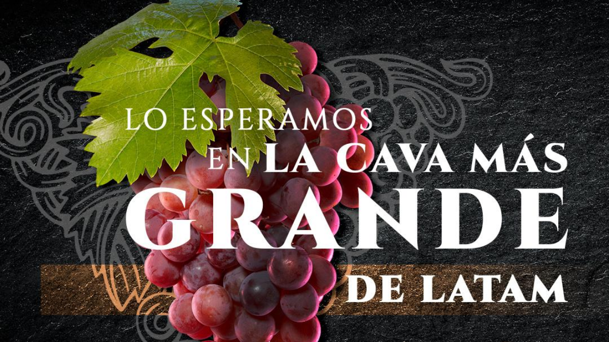 Prueba los mejores vinos de Bordeaux en Au Pied de Cochon