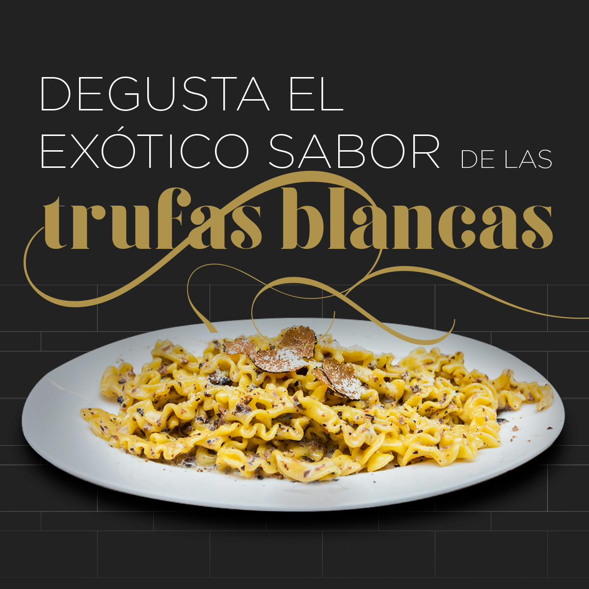 Degusta pastas preparadas con trufa blanca en Alfredo di Roma