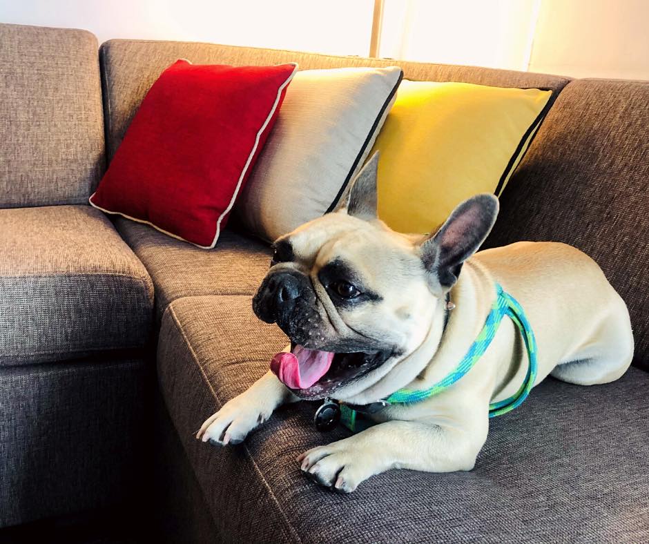 hotel en Santa Fe pet friendly