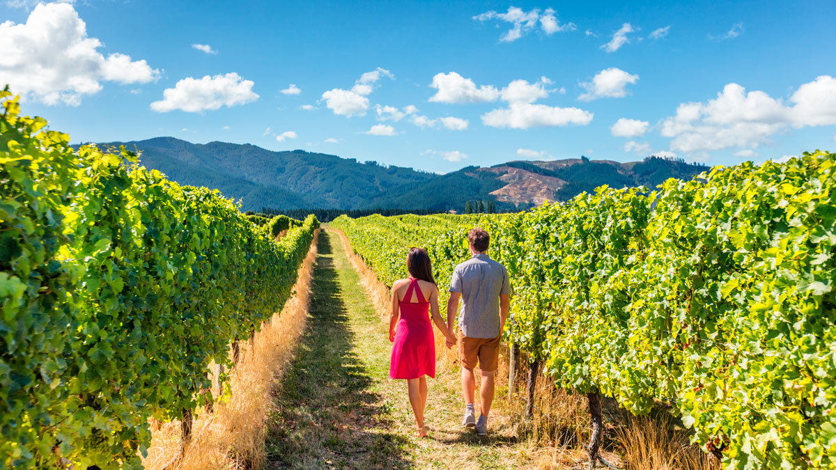 Tenga un romántico viaje en pareja junto a El Cielo Winery & Resort y la ruta del vino en Valle de Guadalupe