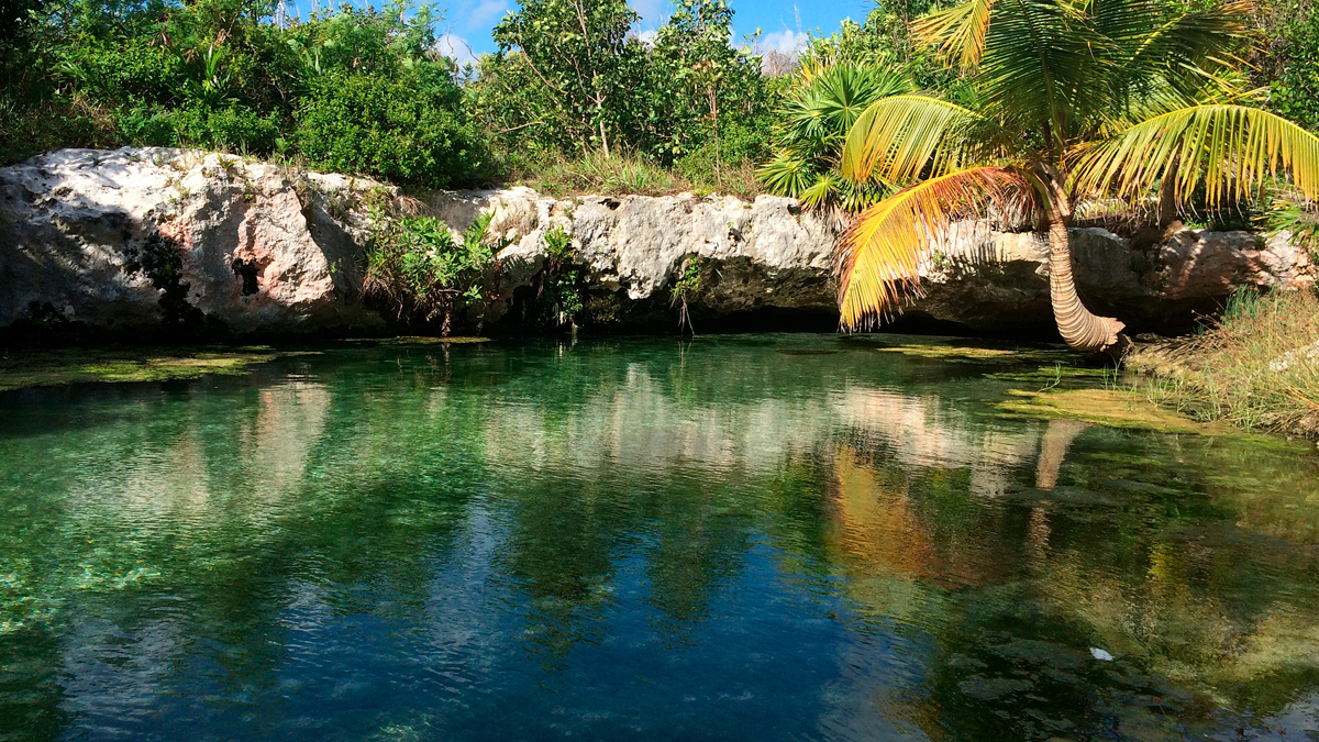 Conoce el alojamiento en Tulum en Kimpton Aluna para el turismo ambiental