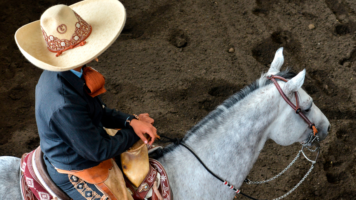 Si pronto va a visitar Puebla y quiere hacer algo en sus cercanías, asista a la Feria de Tlaxcala