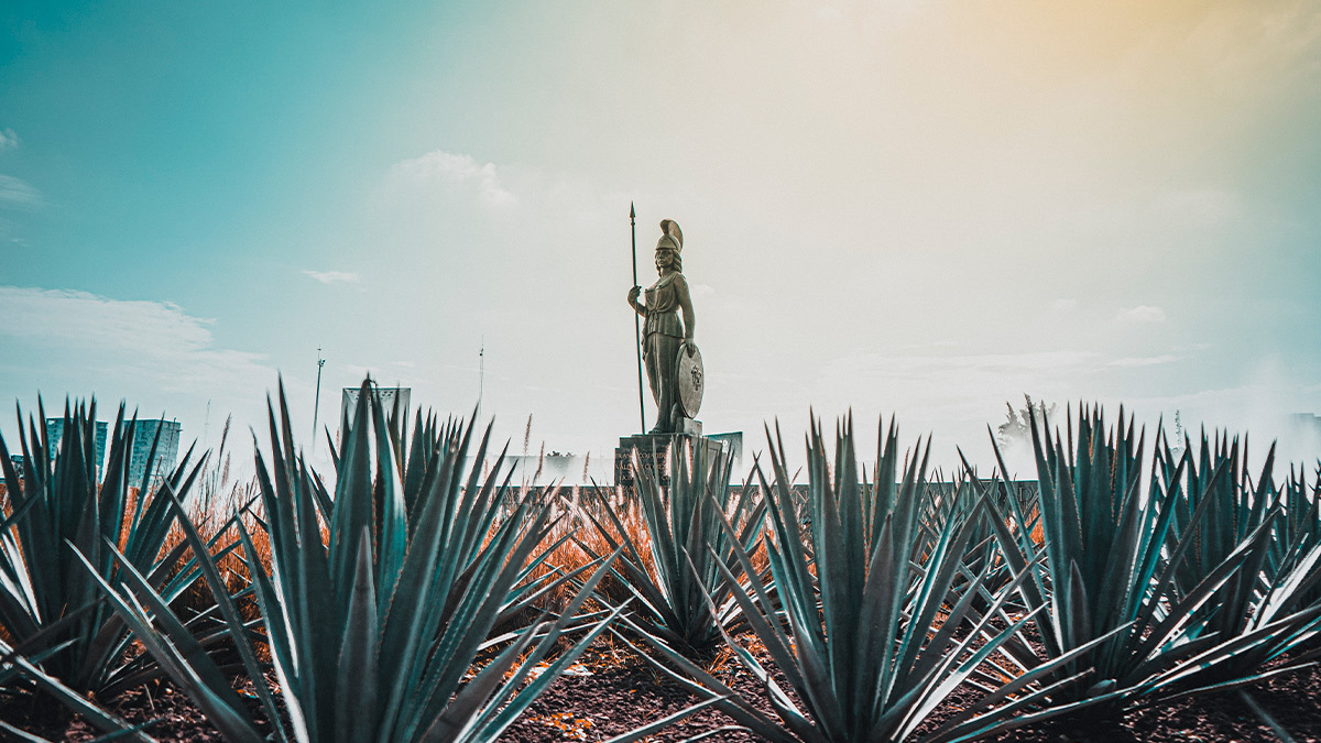 Suites in Guadalajara for a family vacations