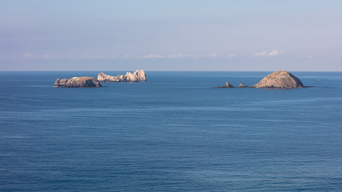 Hoteles en Ixtapa con buena ubicación