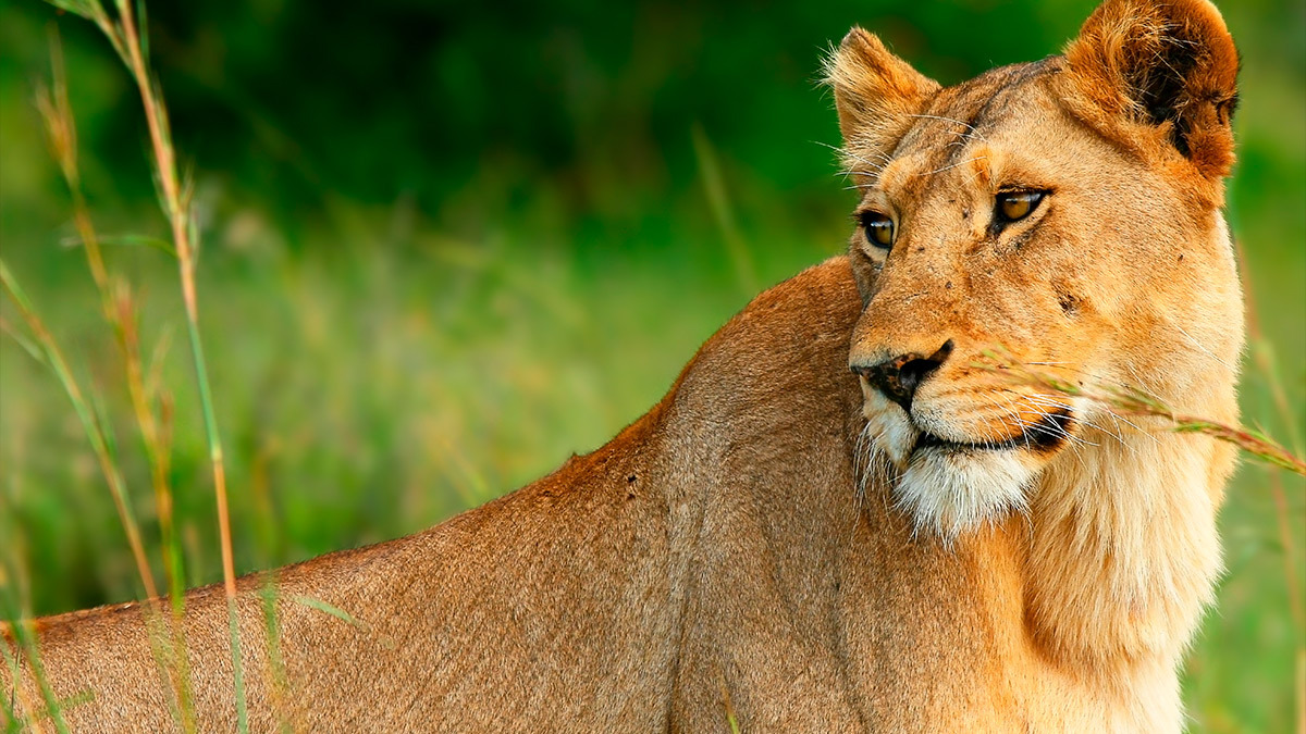 Ofertas en Puebla para disfrutar de unas vacaciones
