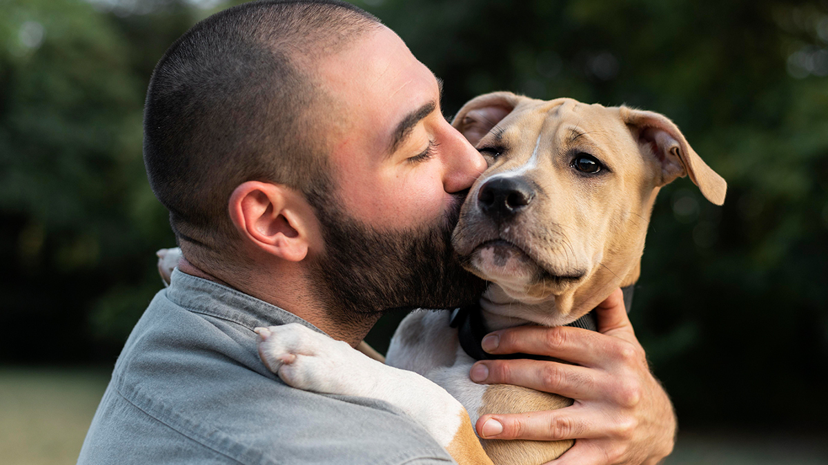 Presidente InterContinental Puebla, un hotel petfriendly con amenidades
