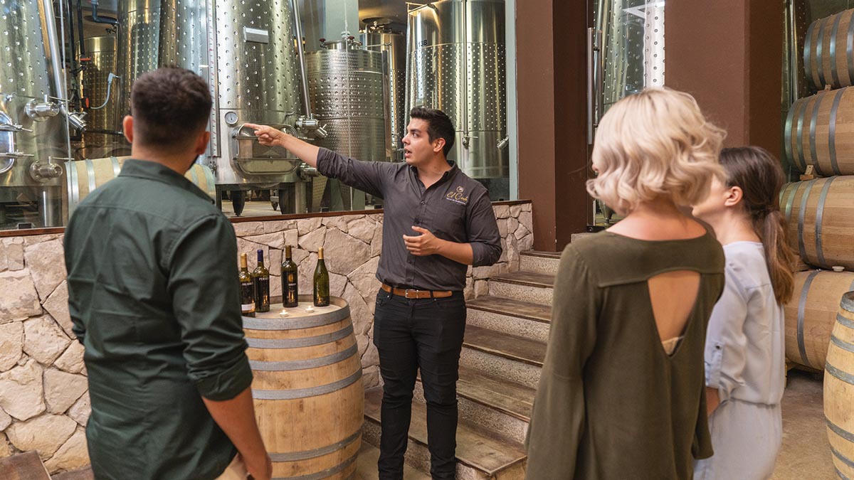 Historia de los mejores viñedos en Ensenada, Baja California