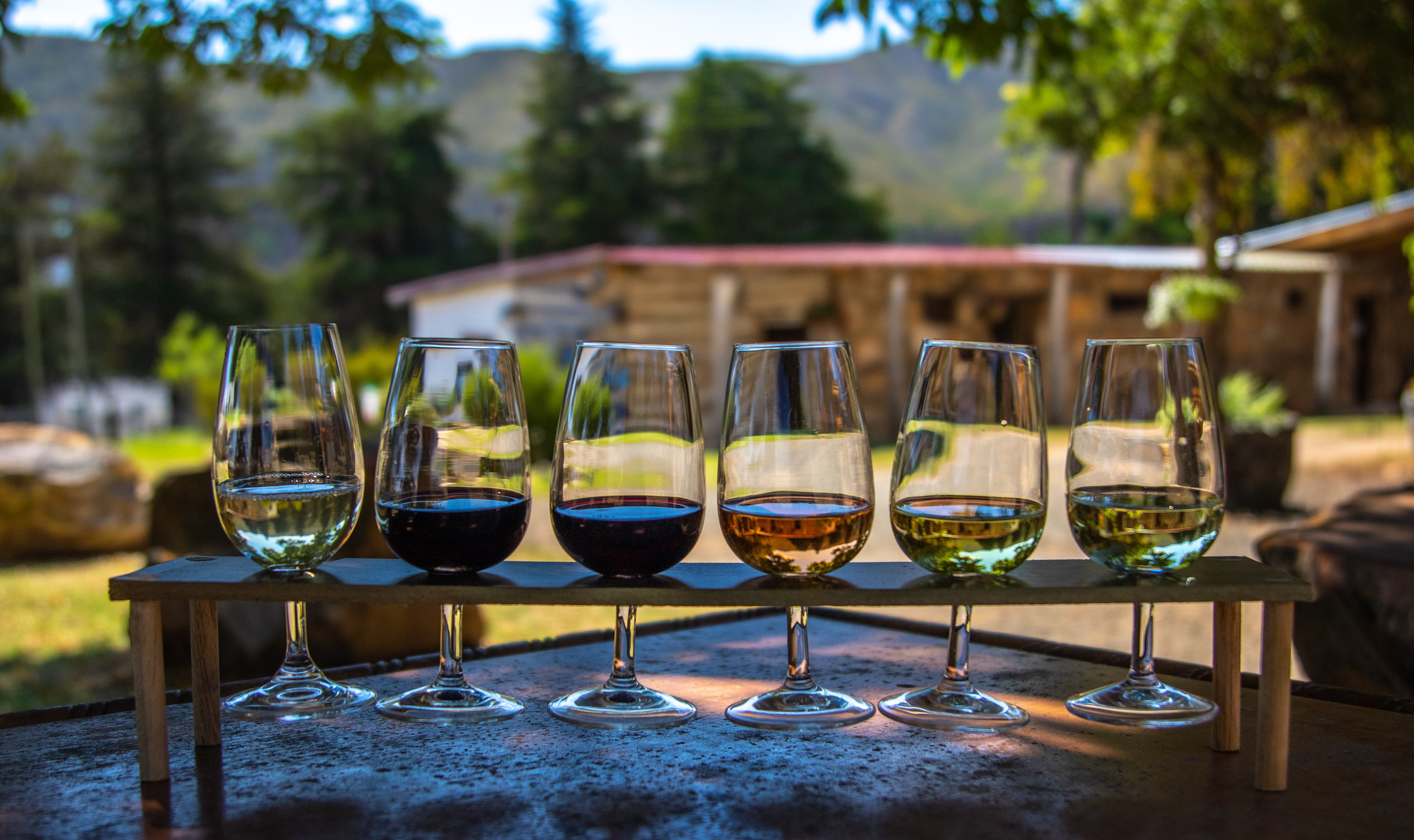 la Feria Nacional del Queso y el Vino en el hotel Aloft Querétaro