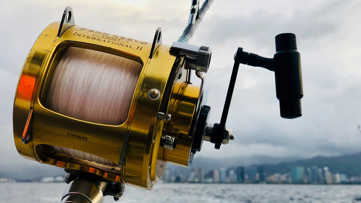 Rooms in Cozumel for the billfish tournament