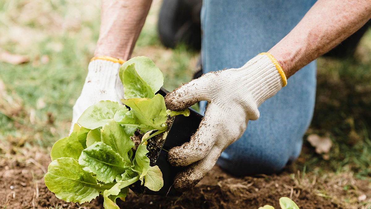 Casa de descanso con terapia