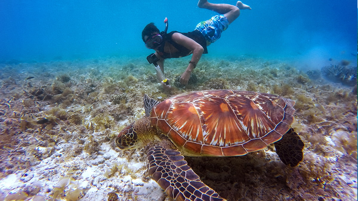 Vacation packages in Cozumel for this summer