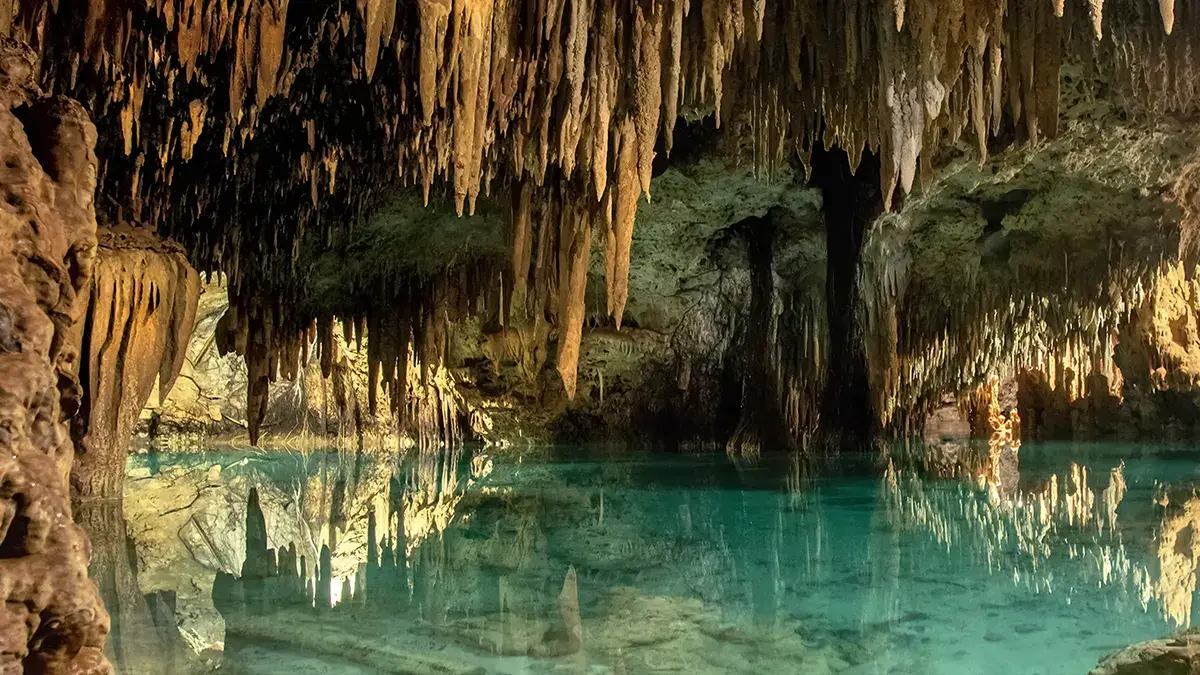 Cozumel hotel near cenotes