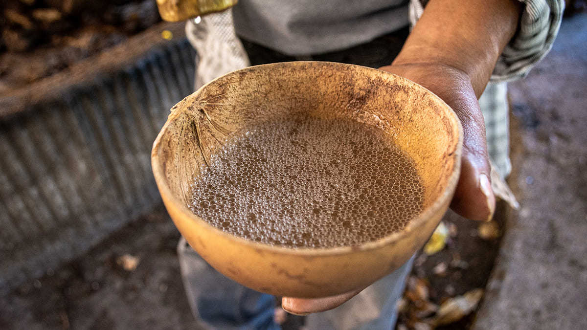 Hotel in Puebla for the Mezcal Route