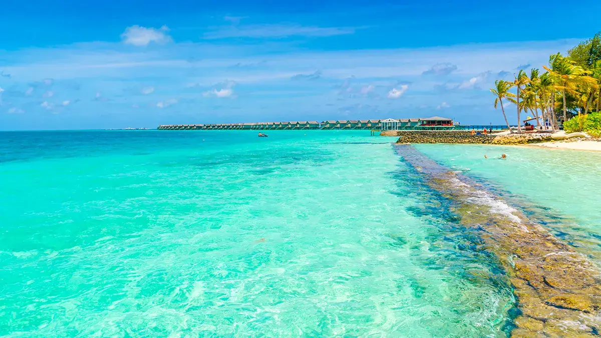 Hoteles en Cancún de la zona hotelera para el Día Mundial del Turismo