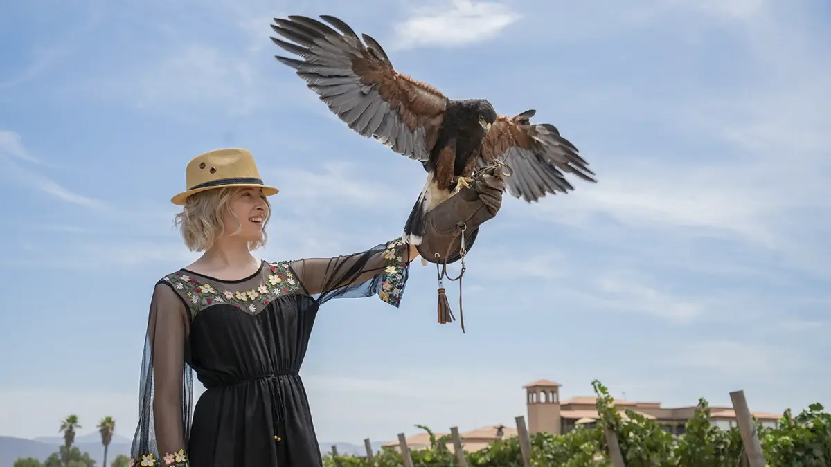 Activities and things to do in Valle de Guadalupe