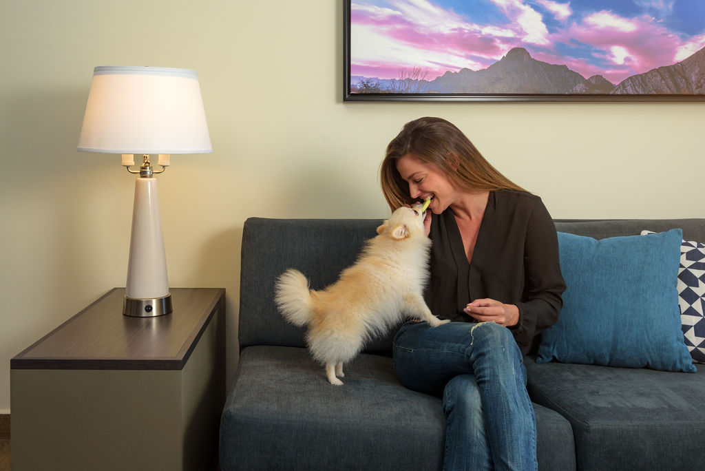 Pet friendly hotels in Monterrey Mexico