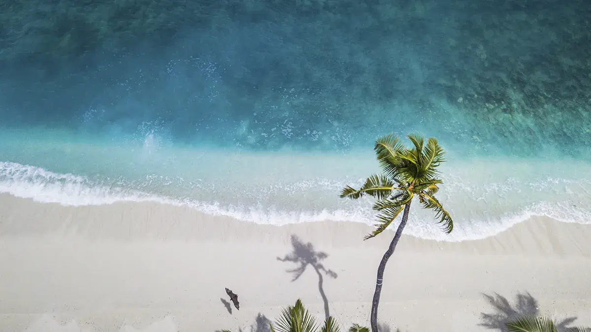 Dive resort in Cozumel for the next Thanksgiving day