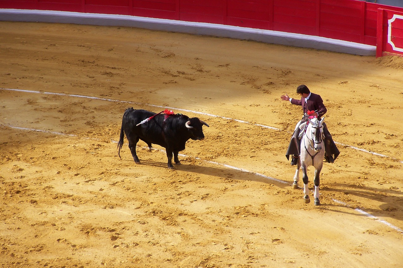 Hotels in Merida, MX Welcome the Traditional New Year's Bullfight