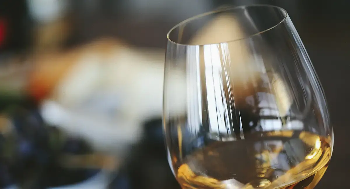 Wine pairing and things to do in Valle de Guadalupe