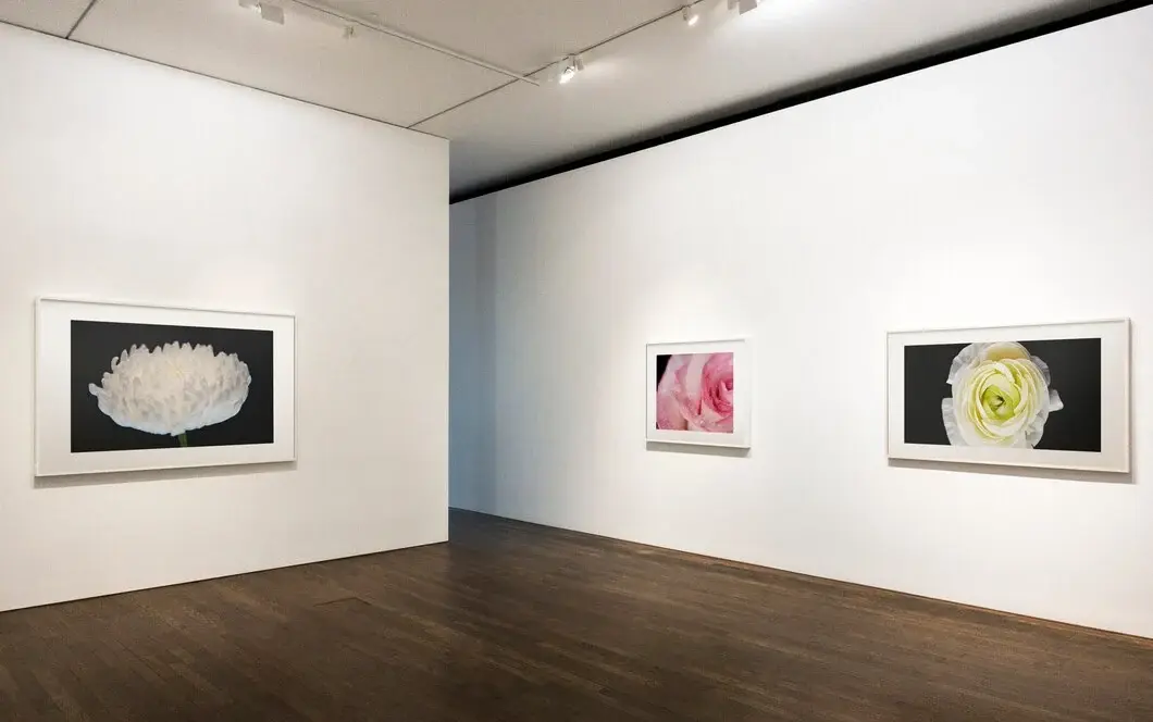 Disfrute de la calidez de las suites ejecutivas en Santa Fe que Hyatt House Santa Fe pone a su disposición para visitar Zona Maco