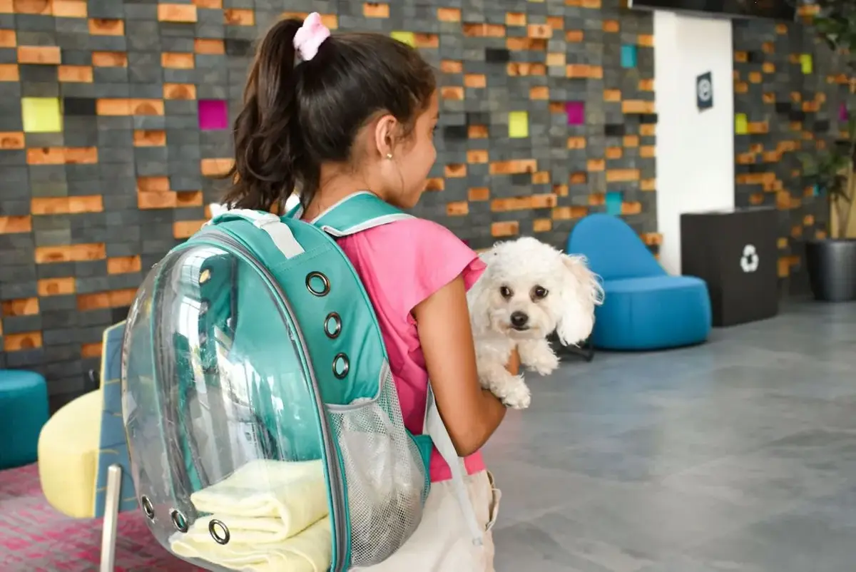 Get to know Queretaro by staying at Aloft, the modern and pet-friendly hotel