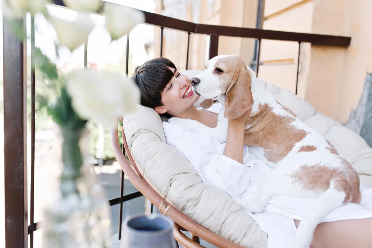 Presidente InterContinental Puebla hotel petfriendly entiende que sus mascotas son su familia