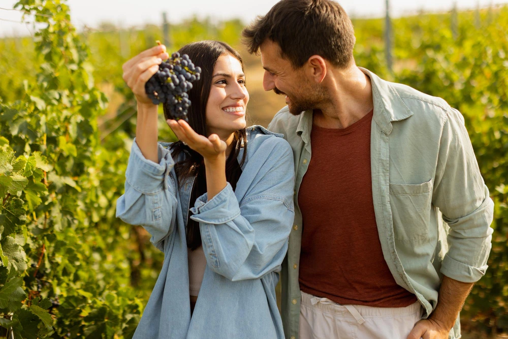Lugares para disfrutar la ruta del vino en Baja California