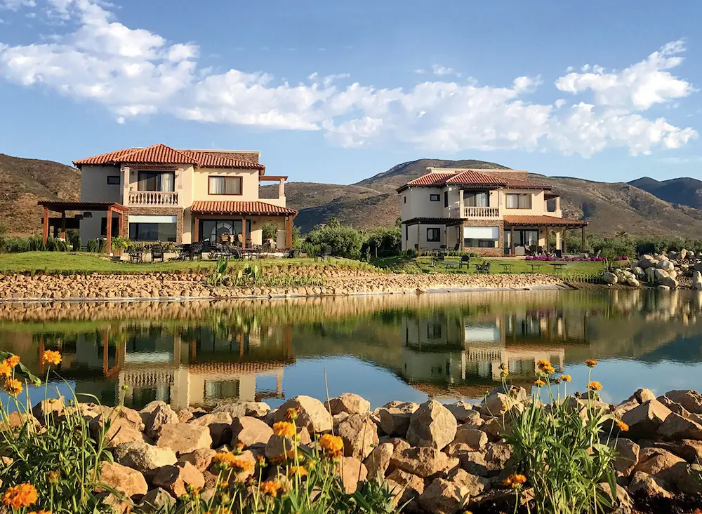 Valle de Guadalupe hotel with a vineyard for celebrating New Year’s Eve