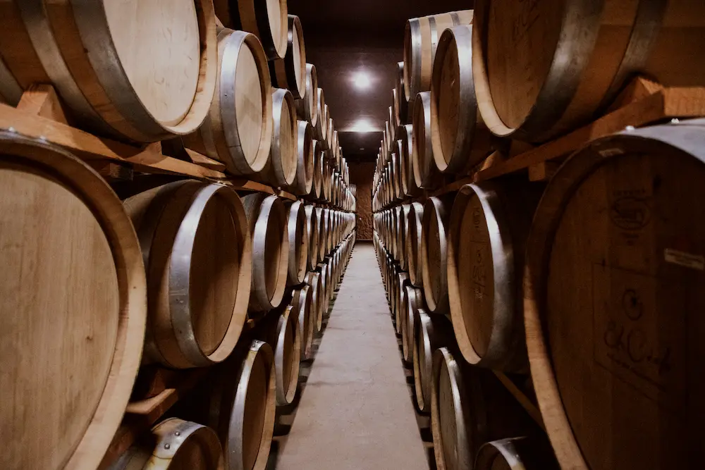 Things to do in Valle de Guadalupe close to Wine Route and Ensenada