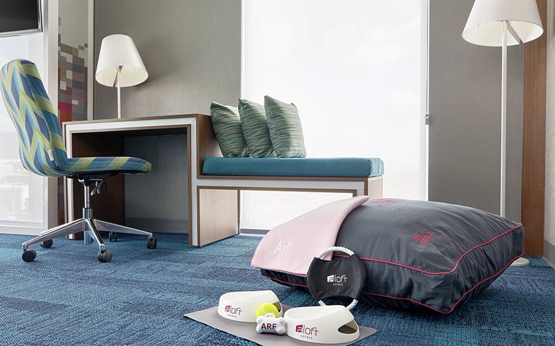 Hotel in Queretaro with luxury suites and pet-friendly services