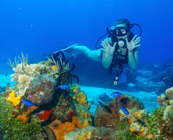 Dive resorts in Cozumel offering underwater tours