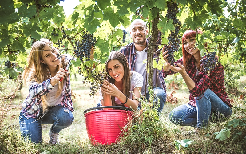 Cosas que hacer en Querétaro para celebrar la Independencia de México en septiembre