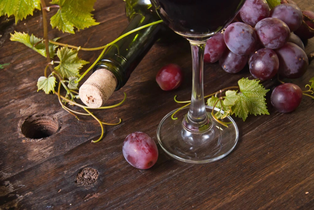 Vendimia en Valle de Guadalupe, Ensenada, durante octubre