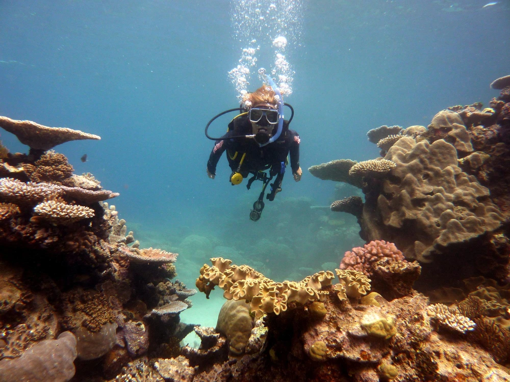 Diving in Cozumel at a 5-star hotel with PADI center