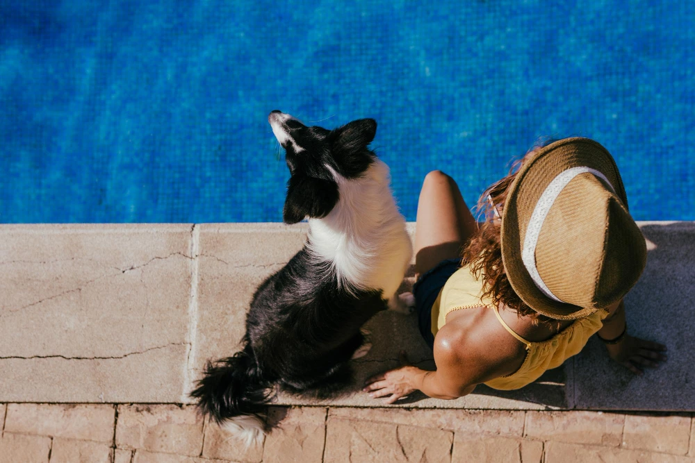 Hotel pet-friendly en Querétaro para salir de la rutina con tu mascota