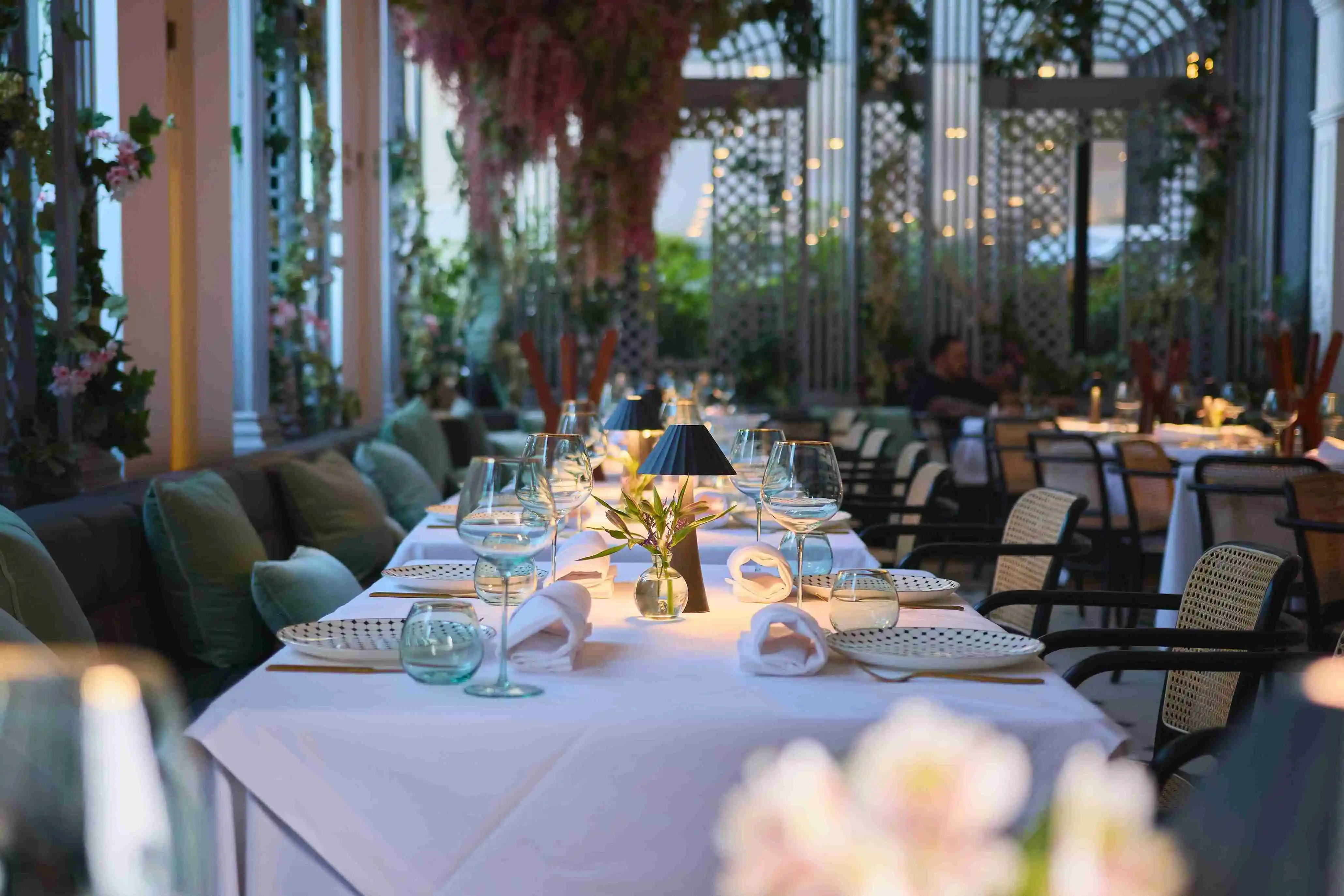 Lugares para cenar en Polanco con cenas gourmet y ambiente elegante