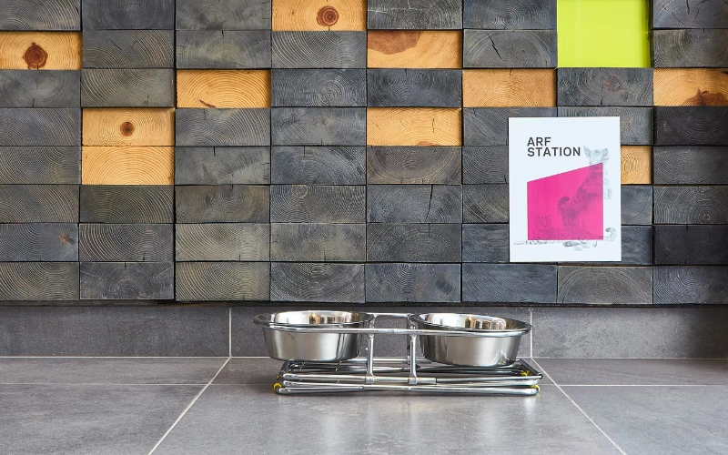 Eventos corporativos Querétaro en un hotel que acepte mascotas