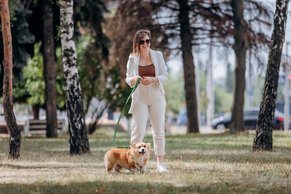 Hoteles IHG en Guadalajara pet-friendly para viaje familiar de Semana Santa