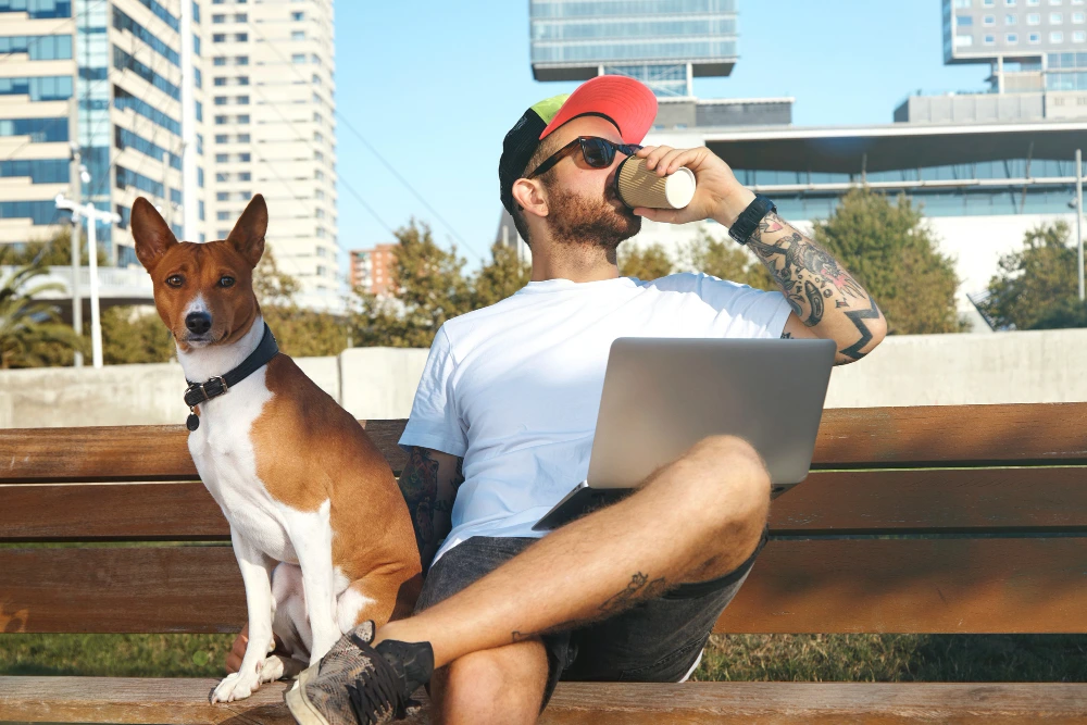 Hotel pet-friendly en Guadalajara con servicios ejecutivos para nómadas digitales
