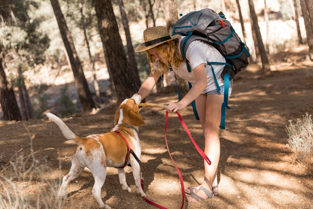 Hotel pet-friendly en Querétaro cerca de senderos para pasear con mascotas