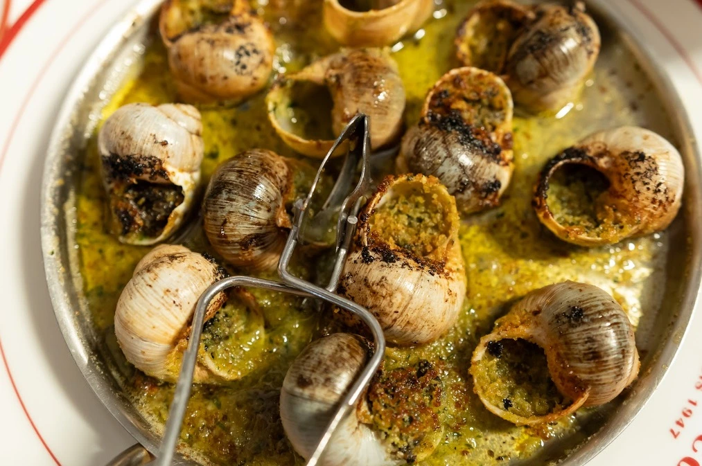 Comida francesa gourmet en Polanco con platillos clásicos como escargots